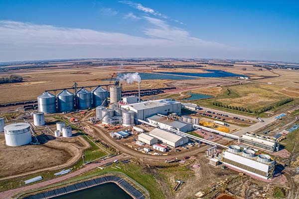 Aerial View of Plant